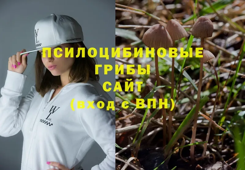 Псилоцибиновые грибы Psilocybine cubensis  продажа наркотиков  Первоуральск 